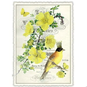 A|XgJ[h GfBV^E[hVF[ PԂƉo[h _CJbgH hCc  o[h  g L|EQ