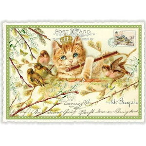 A|XgJ[h GfBV^E[hVF[ bpƔLƐ J _CJbgH hCc lR ˂ Lbg Cat y