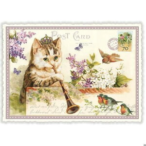 A|XgJ[h GfBV^E[hVF[ bpƔLƐ CbN _CJbgH hCc lR ˂ Lbg Cat