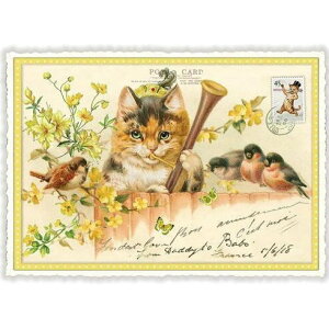 A|XgJ[h GfBV^E[hVF[ bpƔLƏ CG[ _CJbgH hCc lR ˂ Lbg Cat