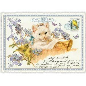 A|XgJ[h GfBV^E[hVF[ bpƔLƖYȑ _CJbgH hCc lR ˂ Lbg Cat ܖY XiOT