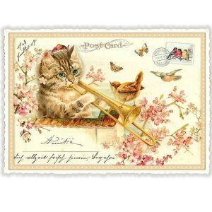 A|XgJ[h GfBV^E[hVF[ bpƔLƐ  _CJbgH hCc lR ˂ Lbg Cat  TN