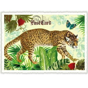 A|XgJ[h GfBV^E[hVF[ WK[ _CJbgH hCc