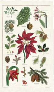 @Be[W eB[^I@NX}X{^jJ@Cavallini&Co J@[j@H^IE@EzЁEӂEtLENX}XE|CZ`AEEڂEpC