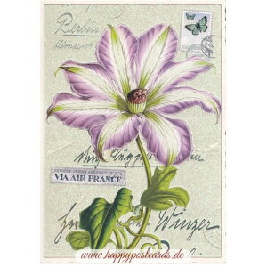 A|XgJ[h GfBV^E[hV[ N}`X Edition Tausendschon |XgJ[h