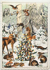 ���� �A���|�X�g�J�[�h �G�f�B�V�����^�E�[���h�V�F�[�� �~�̐X�̓������� Edition Tausendschon �~ �~�i�F