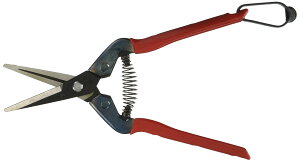 �y19��20�����10%OFF�N�[�|���L��z �ߐ� ��� �E���� T-55CH