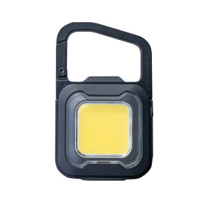 TV RITEX [d LED X[p[tbVCg 6W JritbNt COB-WL005 y  [NCg Ɠ AEghA Lv ЊQ h CebNX MUSASHI z