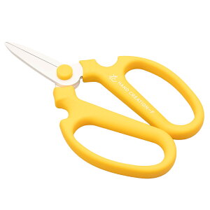 yLINEo^300~OFFN[|z΂ ⌹  nhNG[V F180   nT~  ͂ lC  XeX Trɂ   t[AWg K