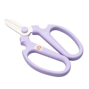 yLINEo^300~OFFN[|zy [ bsOz ΂ ⌹  nhNG[V F170   nT~  ͂ lC  XeX Trɂ  