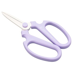 yLINEo^300~OFFN[|z΂ ⌹  nhNG[V F195   nT~  ͂ lC  XeX Trɂ   t[AWg K