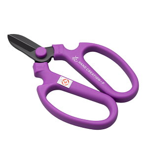 _50lN[|zz^yLINEo^300~OFFN[|z΂ ⌹  nhNG[V n F170   nT~  ͂ lC  XeX Trɂ 