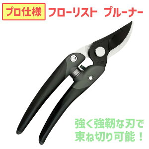 yLINEo^300~OFFN[|zߐ t[Xg v[i[ JP-3000FBK y   | K[fjO  s ؂   ͂ nT~ ƒ뉀| ƒ؉ v t[AW