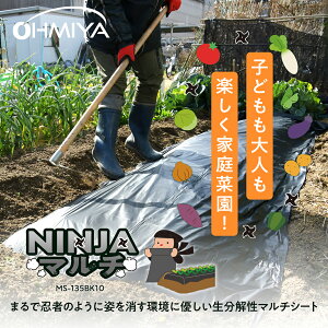 yLINEo^300~OFFN[|zI[~ NINJA}`135 10m MS-135BK10