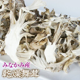 乾燥 キノコ 舞茸 乾燥舞茸 30g まいたけ マイタケ ドライキノコ　みなかみ　みなかみ町