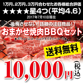 楽天市場 バーベキューセット 精肉 肉加工品 食品 の通販 楽天市場 バーベキューセット 精肉 肉加工品 食品 の通販