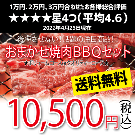 おまかせ焼肉バーベキューセット(10,500円)送料無料 BBQ 幹司さん楽々 かどや牧場 送料無料 国産牛【福袋】