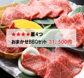 おまかせ焼肉バーベキューセット(31,500円)送料無料 BBQ 幹司さん楽々 お花見 かどや牧場 国産牛【福袋】
