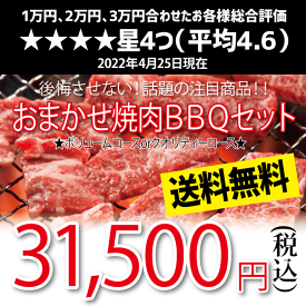 おまかせ焼肉バーベキューセット(31,500円)送料無料 BBQ 幹司さん楽々 お花見 かどや牧場 国産牛【福袋】