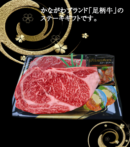 yMtgz[XXe[L500gi2jyMtgzyǂqzyYzy蕨z