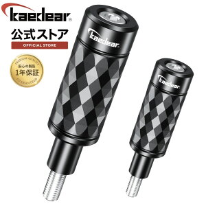 Kaedear(JGfBA) oCN tF_[Nvo[ tHO }`o[ Nvo[ tF_[ Xe[ TCo[LED tHOv x[X oCNpi t XN[^[ I[goC KDR-H11