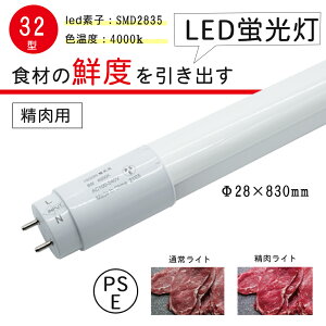yzLy[pLEDu 32`  FL32W NHi LEDǌu O[X^[^[Hsv  u ǌu Бd LEDv LƎˊp 4000K oCpXHK{
