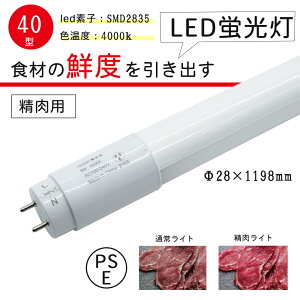 yzLy[pLEDu 40`  FL40W FLR40W NHi LEDǌu O[X^[^[Hsv  u ǌu Бd LEDv Hsv LƎˊp 4000K oCpXH