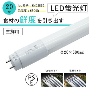 NpLEDu 20`  FL20W FLR20W O[X^[^[Hsv N N  ʕ u ǌu Бd LEDv 6500K oCpXHK{