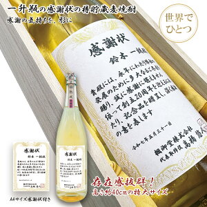 yMtgzӏ󃉃xt Ē ꏡr 1800mlb˔ ibO bZ[WΉbސEjEҗjEaɂ