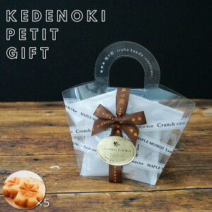 T | ʔ̌胉bsÕv`Mtg ( [v݂ tBiVF 5 ) [ L 蕨 v[g 񂹃XC[c zA ٓ Ăَq yY j hZNV