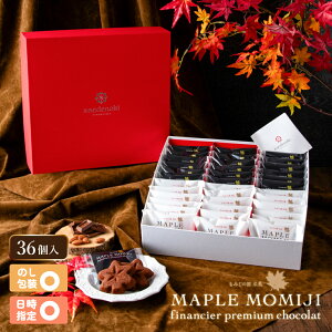 T | [v݂tBiVFv~AVR@36 yCH33zyLyY 񂹃XC[c Mtg hZNV Ăَq yY 蕨 j zA tB