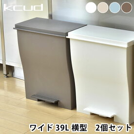 【6月5日は店内ほぼ全品P10倍♪】【2個セット】 クード ゴミ箱 kcud ワイドペダル 39L おしゃれ ふた付き ワイド ペダル 分別 スリム キッチン 岩谷マテリアル アッシュコンセプト 北欧 45リットル ゴミ袋対応 WIDE PEDAL