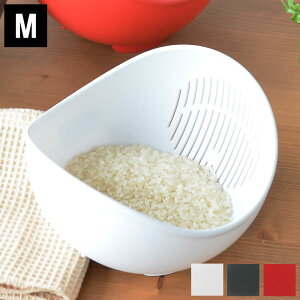  {E 炭`{E  MTCY b`F Richell HΉ p{E ؂肴 Lb`{E  {E  Lb`  ĂƂ ֗O