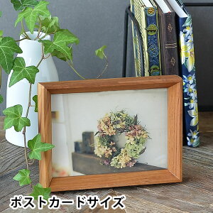 y111̓|Cgő10{ՁztHgt[ `[Nt[ |XgJ[h |XgJ[hTCY  ؐ Ǌ| AeB[N u ʐ^ 킢 ʐ^ Vv X^