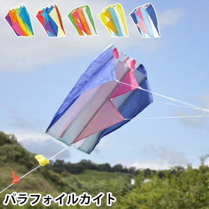 y1125͂̓|Cgő10{ՁzptHCJCg  ^R X|[cJCg OV  OV l q OV g ߋ  AEghA W[   