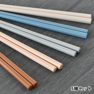 y111̓|Cgő10{ՁzwCY 5VZbg TCt  H@Ή { 23cm @͂ VR Vv   lC l ĂȂ qp Jt 5F ig