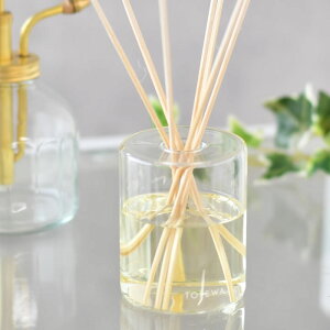 tolewa g fBt[U[ [hfBt[U[ KX KX{g 100ml WX~u[P x_[EbfB ^XeBbN [YVgX {  Vv 