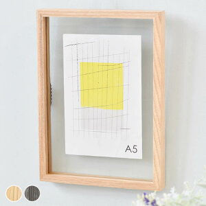 y111̓|Cgő10{Ձzt[eBOt[ A5TCY CAN-01 tHgt[ ʐ^  Ǌ| X^h VR KX A[gt[ Mtg v[g NSV[Y 