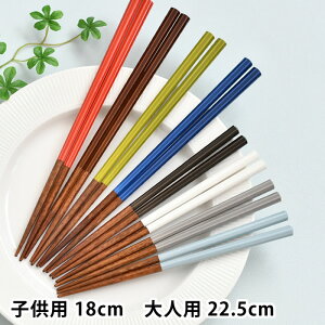 p  qp18cm/lp22.5cm TCt  H@Ή ͂  Jg[ { n`JNgETC p^ ~ eq  jp VR Vv ₷ H q