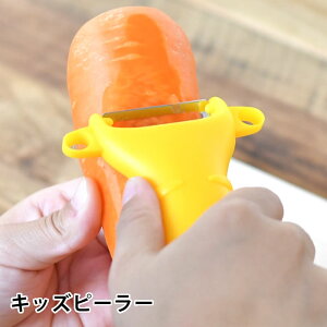 SUNCRAFT TNtg LbYs[[ s[[ qǂp q s[[ Lb`G 킢 SJo[t  ނ XCT[   H { CG[ ` 