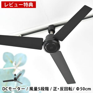 yr[TtzDUCT RAIL FAN _Ng[t@ DC[^[ vX 50 _Ng[t@ t@ T[L[^[ ȒPt Rt ʒ V  rO Cz 