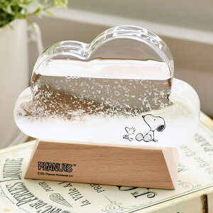 y125̓|Cgő10{ՁzXk[s[ Xg[OX NEh  킢 Xk[s[ ObY l  KX u  SNOOPY EbhXgbN CeA G LN^