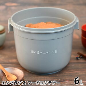 y10/1̓|Cgő10{ՁzEMBALANCE GoX t[hRei[ 6L ۑe vX`bN ʂЂ e ʂ Ђ 킢 ~ Hi Nxێ   Lb`ObY 