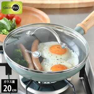 �t���C�p�� �W GREENPAN �O���[���p�� �X�e�����X�K���X�W 20cm �t���C�p�� �ӂ� �O���[���p�� �t���C�p�� ������� 20�Z���` �t���C�p���J�o�[ �l�C �L�b�`���p�i �u�ߕ� �����K���X �v���[���g