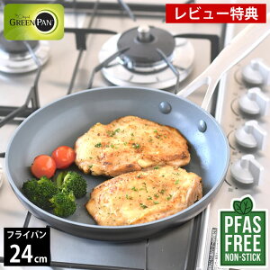 y1125͂̓|Cgő10{Ձzyr[TtztCp ih 24cm Z~bN GREENPAN O[p tCp 24cm FjX v O[p tCp 24  M` R[eB