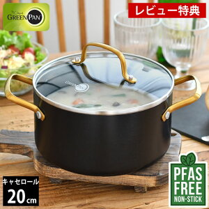 y1125͂̓|Cgő10{Ձzyr[Ttz 20cm GREENPAN O[p LZ[ 20cm KXWt XgDfBI O[p  LZ[ tbfHȂ _C