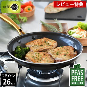 yr[TtztCp ih 26cm GREENPAN O[p tCp 26cm XgDfBI O[p tCp IHΉ 26cm PFAS FREE M` IH  Mtg Z~bN KX ubN KX