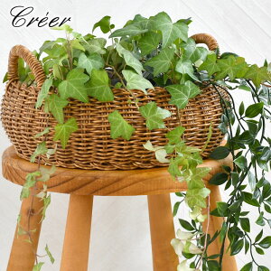 y121̓|Cgő10{ՁzNG creer eB Eh[oXPbgL oXPbg  oXPbg k [  nhCh  AeB[N Lb` [ 