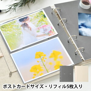 }[NX Ao tB |PbgtB |XgJ[hTCY 5 }[NX MARK'S ʐ^ ǉ ʐ^ 20 xr[ |XgJ[h q |Pbg^Cv XNbv O[ AC{[ oY