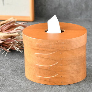 eBbVP[X  ANVX AXCIS VF[J[eBbV{bNX CeA RpNg [ VF[J[{bNX i` Vv ی^ Mtg v[g k ؐ 킢 